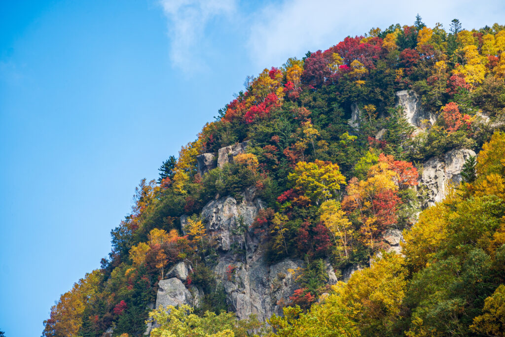 Culture & Seasons