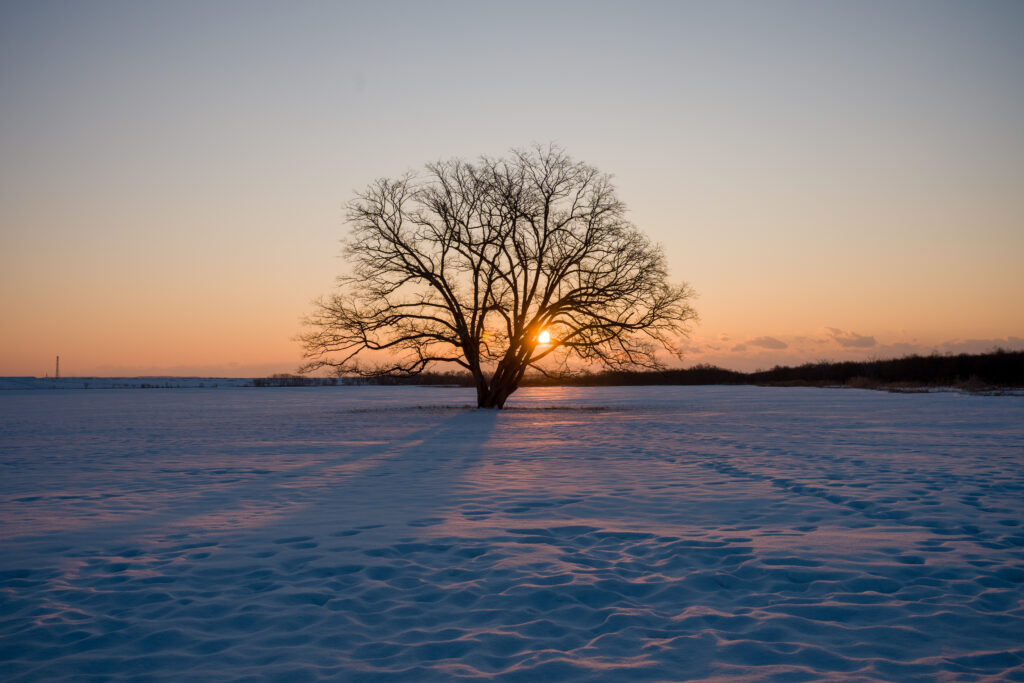 Winter sunrise in Hokkaido