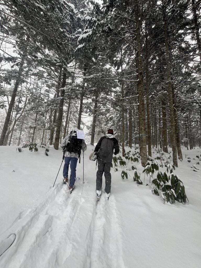 Winter Adventures